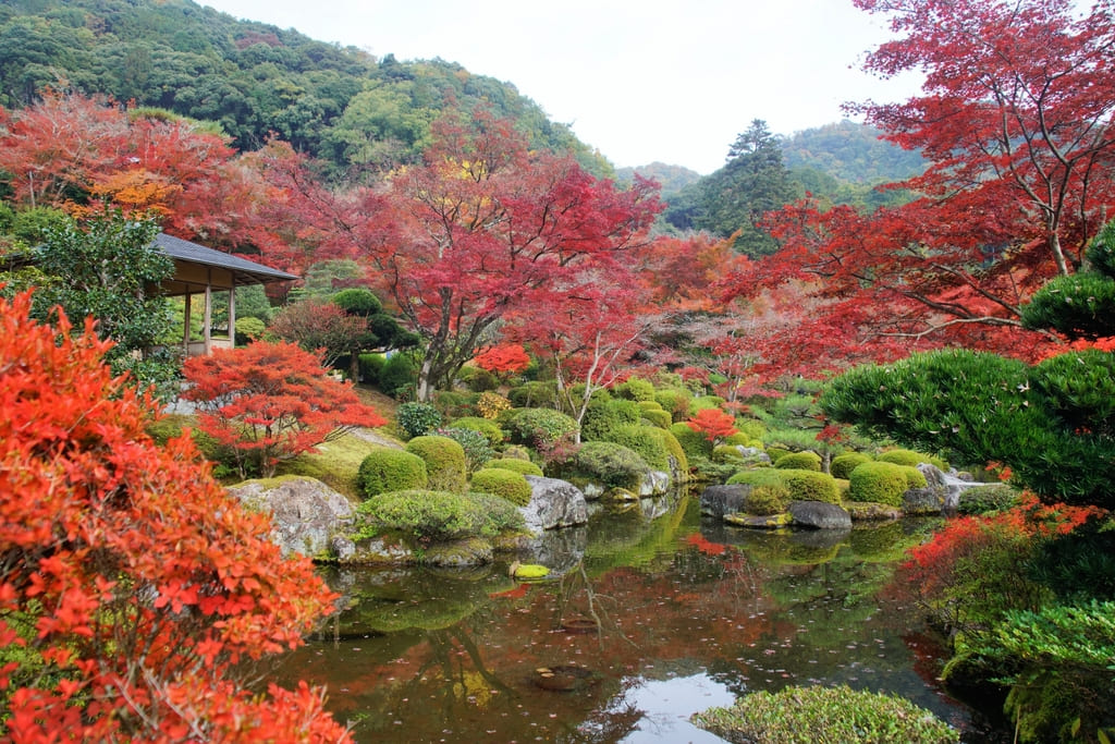 京都府宇治市